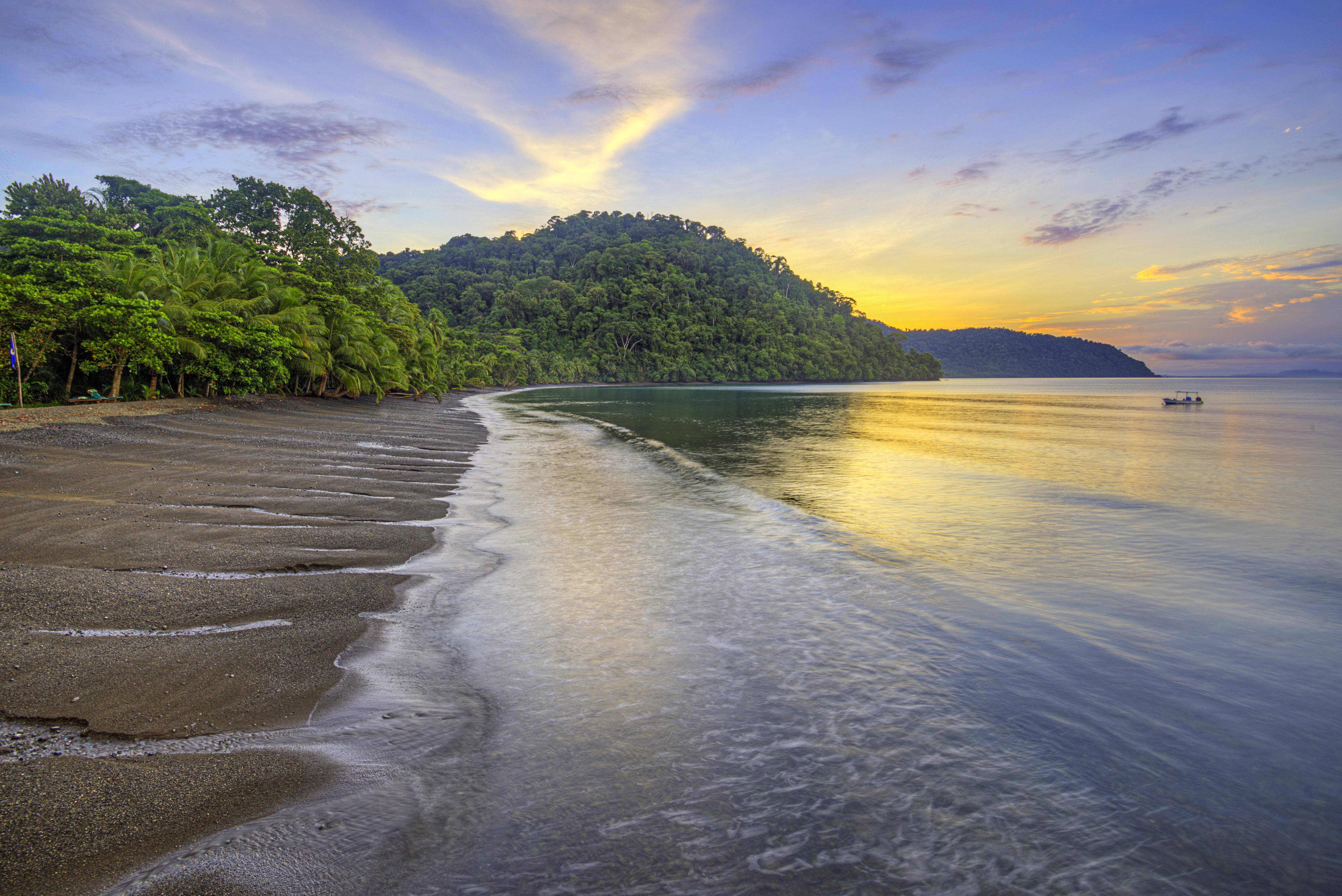 Playa Nicuesa Rainforest Eco Sanctuary غولفيتو المظهر الخارجي الصورة