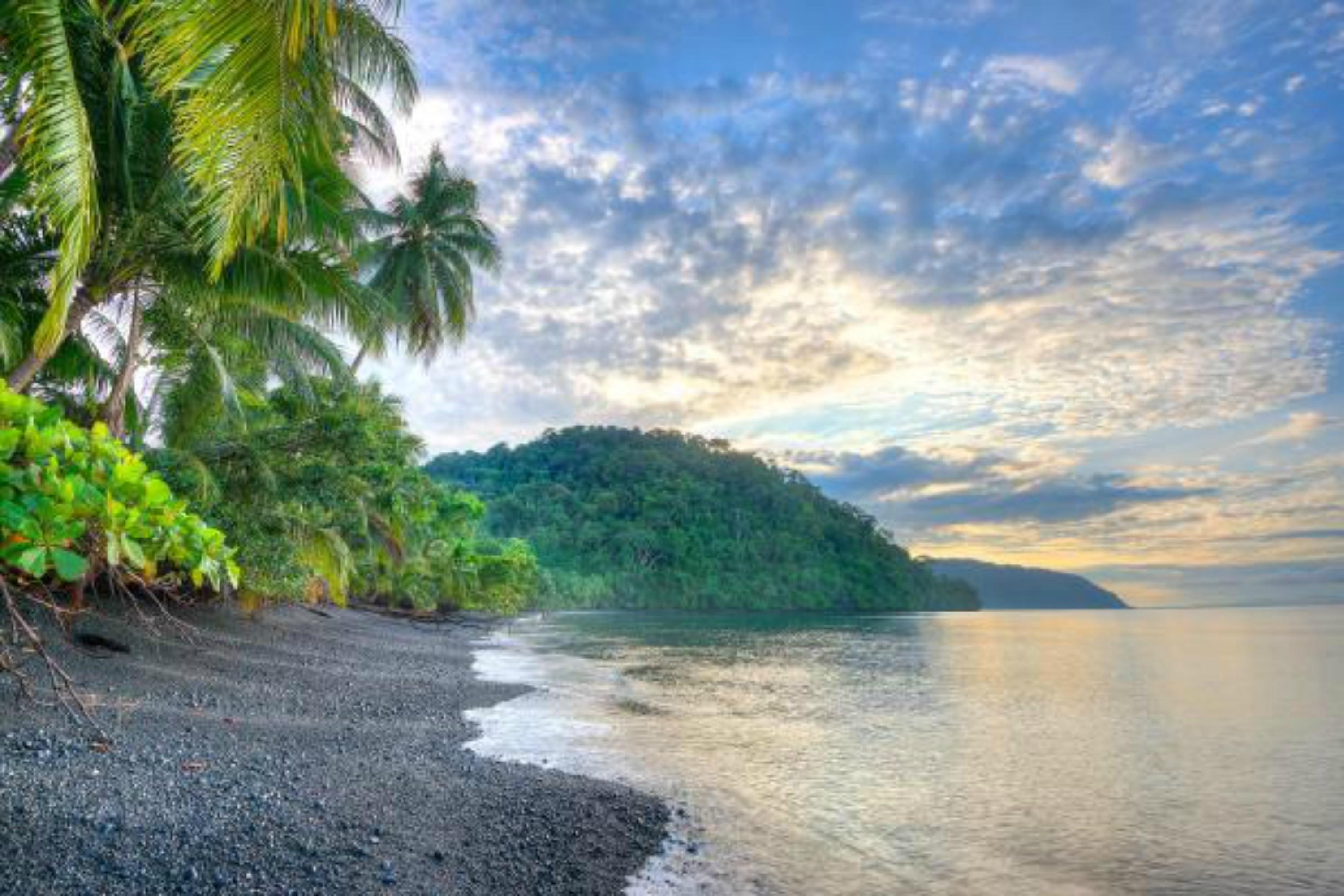 Playa Nicuesa Rainforest Eco Sanctuary غولفيتو المظهر الخارجي الصورة