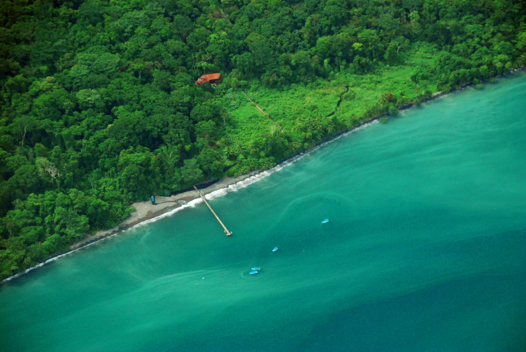 Playa Nicuesa Rainforest Eco Sanctuary غولفيتو المظهر الخارجي الصورة