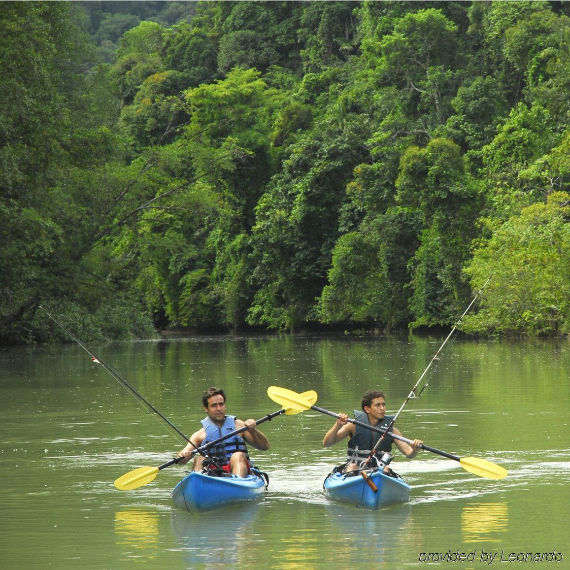 Playa Nicuesa Rainforest Eco Sanctuary غولفيتو المظهر الخارجي الصورة