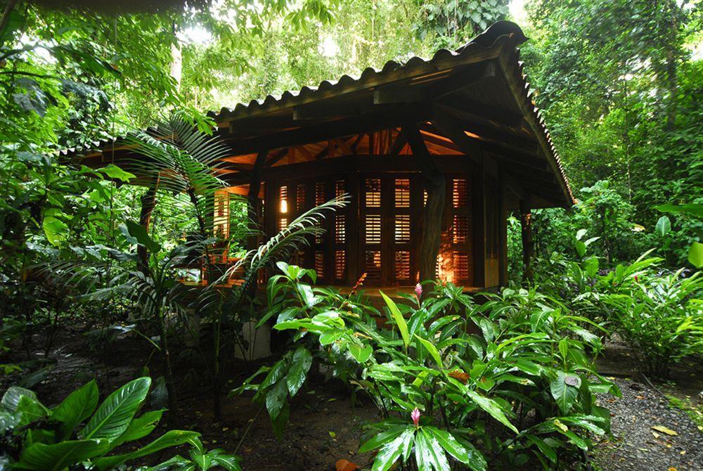 Playa Nicuesa Rainforest Eco Sanctuary غولفيتو المظهر الخارجي الصورة