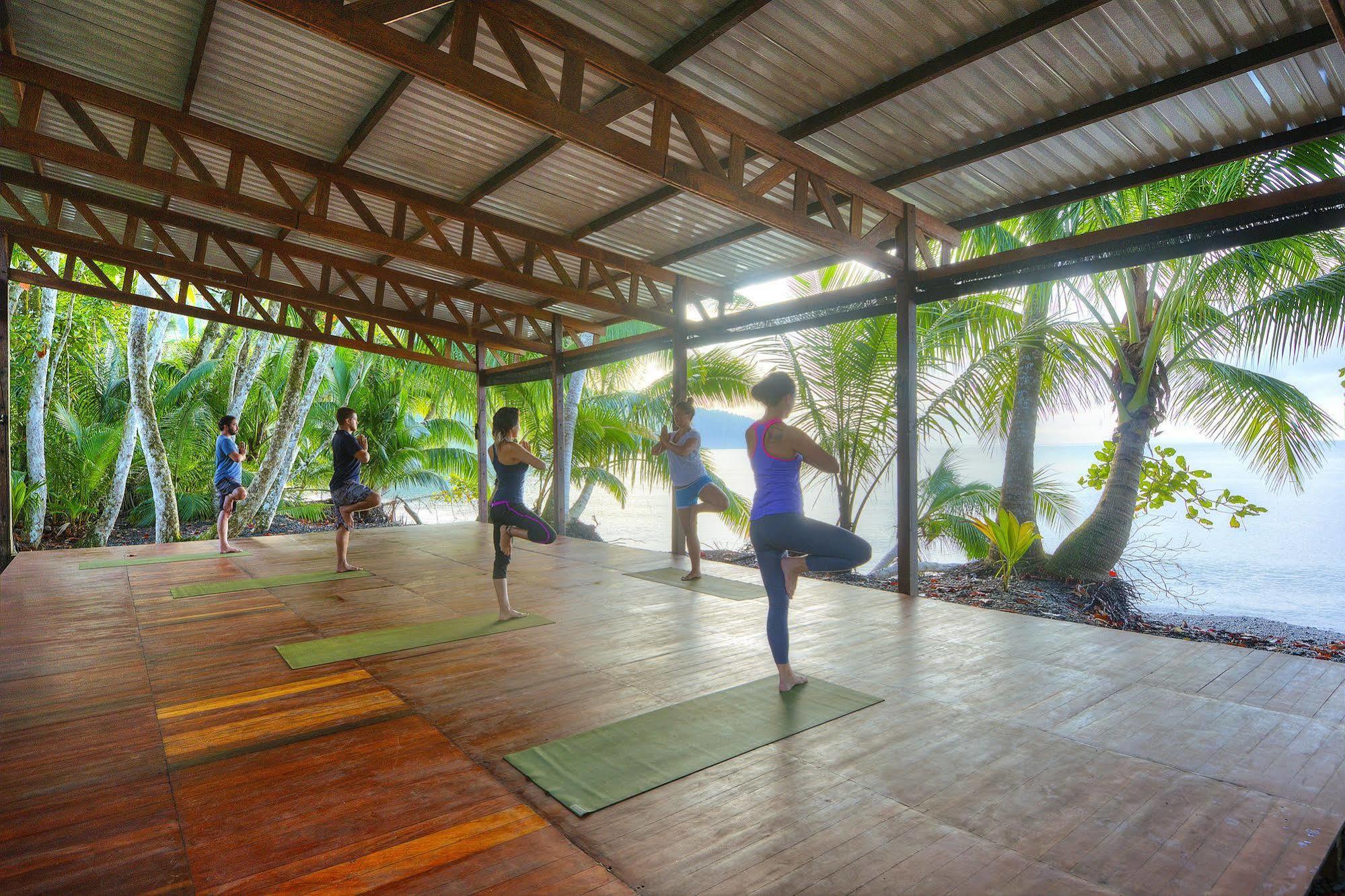 Playa Nicuesa Rainforest Eco Sanctuary غولفيتو المظهر الخارجي الصورة
